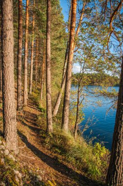 Gün batımında gölde Karelya Rusya ile güzel manzara