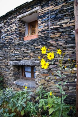 İspanya Campillo de Ranas siyah şehirlerinden birinde sonbahar peyzaj