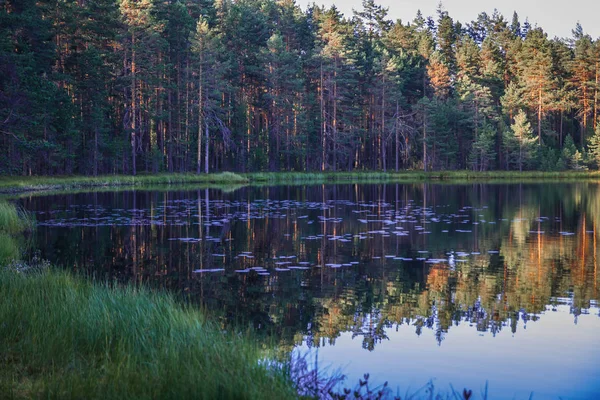 風景湖とロシアのカレリアに反射 — ストック写真