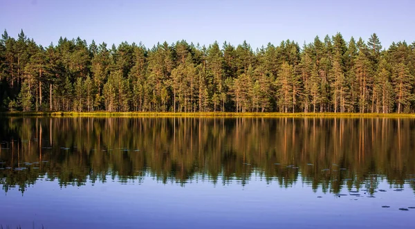 Malerische Landschaft Mit See Und Spiegelungen Karelien Russland — Stockfoto