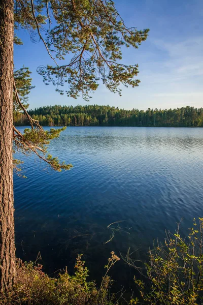 Bela Paisagem Com Lago Pôr Sol Carélia Rússia — Fotografia de Stock