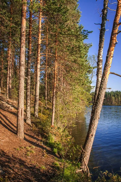 Wunderschöne Landschaft Mit See Bei Sonnenuntergang Karelien Russland — Stockfoto