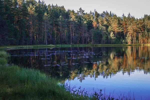 러시아의 카렐리야에서 호수와 — 스톡 사진