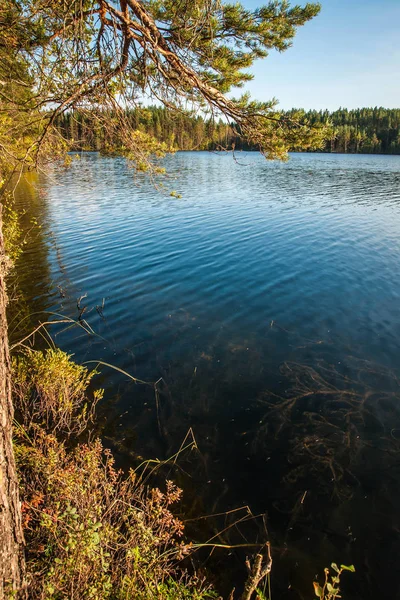 Hermoso Paisaje Con Lago Atardecer Karelia Rusia — Foto de Stock