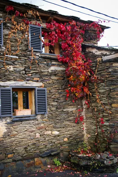 İspanya Campillo de Ranas siyah şehirlerinden birinde sonbahar peyzaj