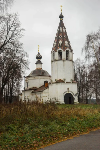 Bilden Domkyrkan Antagandet Jungfru Staden Ples Ivanovo Region Ryssland — Stockfoto