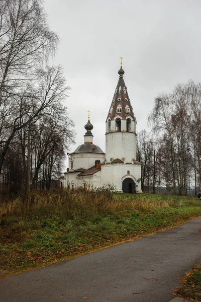 Imagem Catedral Assunção Santíssima Virgem Cidade Ples Região Ivanovo Rússia — Fotografia de Stock