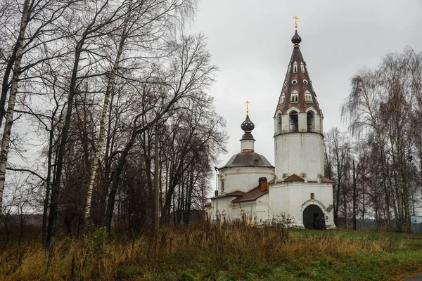 Bilden Domkyrkan Antagandet Jungfru Staden Ples Ivanovo Region Ryssland — Stockfoto