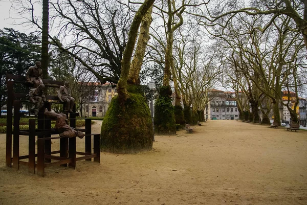 Picturesque Landscape Strange Trees Porto Portugal — Stock Photo, Image