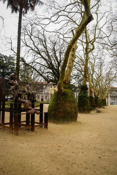 Picturesque Landscape Strange Trees Porto Portugal — Stock Photo, Image