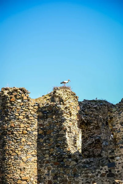 Afbeelding Van Ruïnes Van Een Kasteel Tejeda Segouela Salamanca Castilla — Stockfoto