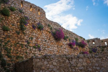 Bitkiler ve çiçekler Napflion Yunanistan Peloponnese üzerinde antik kale kalıntıları üzerinde