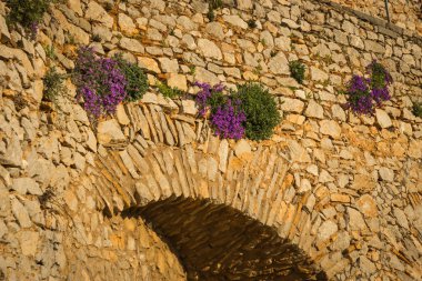 Bitkiler ve çiçekler Napflion Yunanistan Peloponnese üzerinde antik kale kalıntıları üzerinde