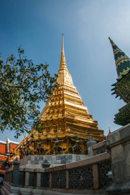 Tayland Bangkok tapınaklar doğal görünümü