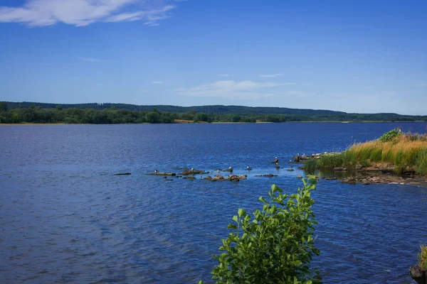 Paysage Pittoresque Avec Lac Onega Carélie Russie — Photo