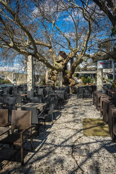 Paisaje Con Árbol Gigante Cerca Del Puente Medieval Sobre Río —  Fotos de Stock