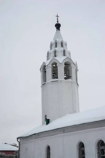 Bild Antagande Katedral Vladimir Vintern Ryssland — Stockfoto