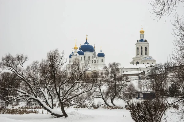 Зимний Образ Боголюбского Монастыря Рождения Богородицы Женского Православного Монастыря Селе — стоковое фото