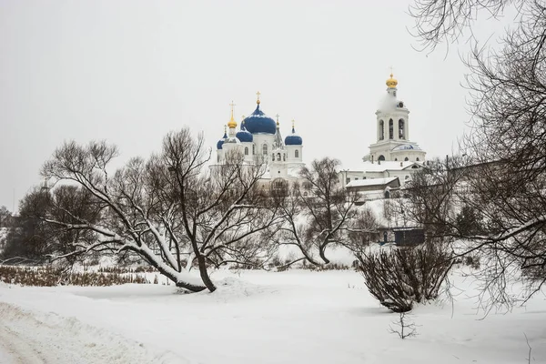 Зимний Образ Боголюбского Монастыря Рождения Богородицы Женского Православного Монастыря Селе — стоковое фото