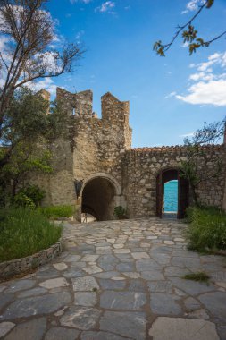 Şehir o yakınındaki Bourtzi adada kale kalıntıları üzerinde kuru çıplak ağaca