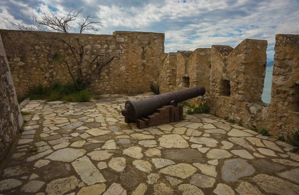 Сухое голое дерево и ружье на руинах крепости на острове Бурци — стоковое фото