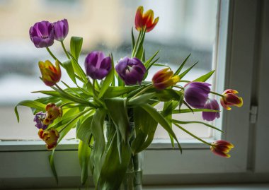 Cam pencere üzerinde çok renkli Lale buket bahar
