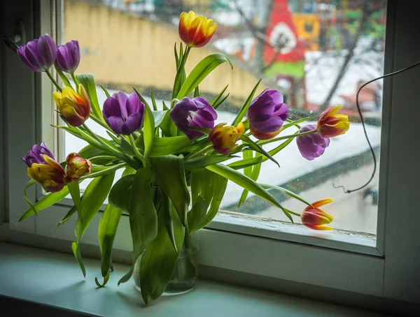 Cam pencere üzerinde çok renkli Lale buket bahar — Stok fotoğraf