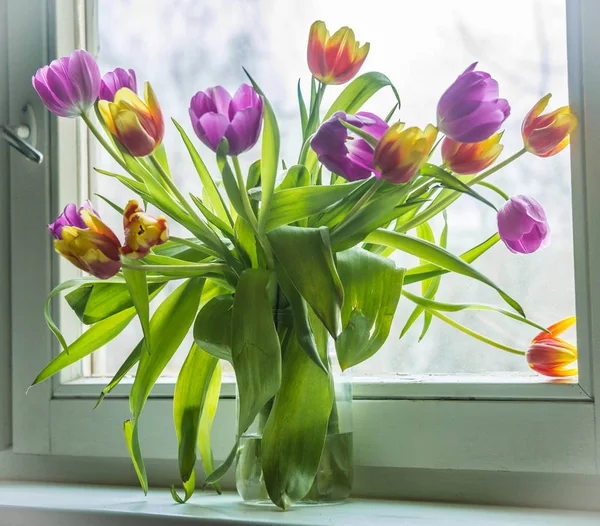 Cam pencere üzerinde çok renkli Lale buket bahar — Stok fotoğraf
