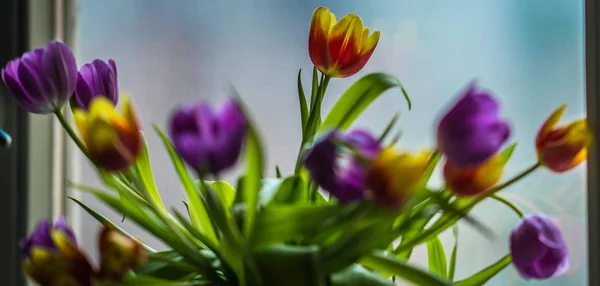 Bouquet de printemps de tulipes multicolores en pot de verre sur le rebord de la fenêtre — Photo