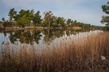 Kaifa Gölü ve su üzerinde yansımaları güzel kıyılarında