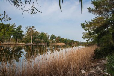 Kaifa Gölü ve su üzerinde yansımaları güzel kıyılarında