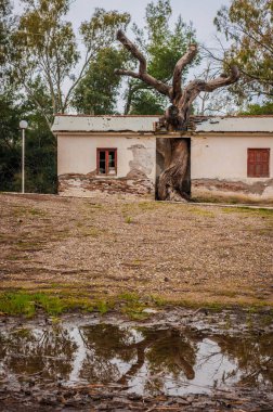 Kaifa Gölü ve eski yıkık binaların ve thei güzel kıyılarında