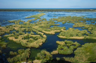 Bataklıkta Kalogria tarihinde Yunanistan Peloponnese