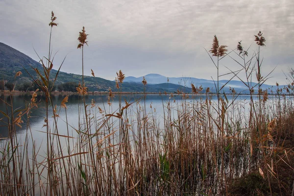 Pantai yang indah dari danau Kaifa dan refleksi mereka dalam air di — Stok Foto