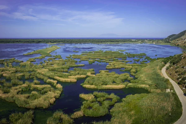 Marshes in Kalogria on Peloponnese in Greece — Stock Photo, Image
