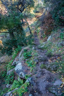 Volkanik Methana Yarımadası üzerinde parçası üzerinde güzel manzara 