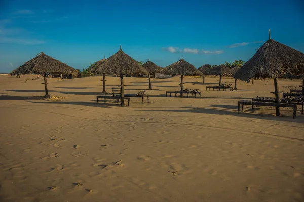 Пальмовые листья зонтиков на пляже в Малинди в восточной Кении — стоковое фото