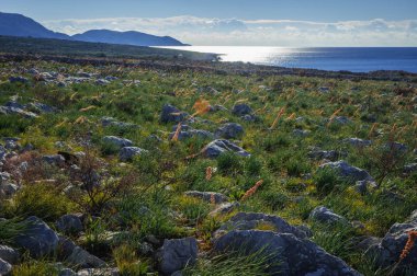 Peloponnese, Yunanistan iç mani içinde Seascape