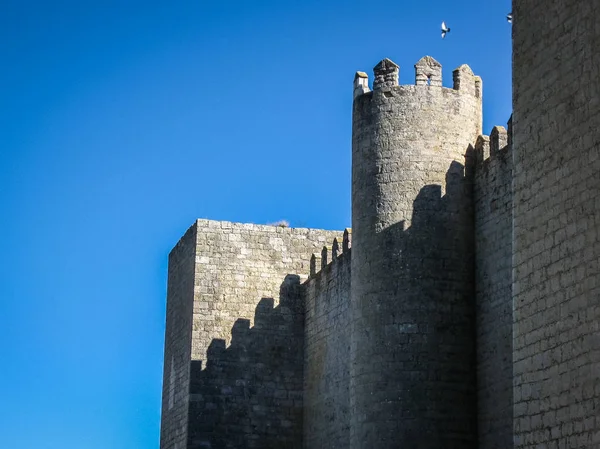 Geruïneerd kasteel bij Montealegro in provincie van Leon in Castilla y L — Stockfoto