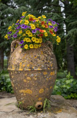 İtalya 'nın Amalfi Sahili' nde büyük bir vazoda açan çok renkli petunyaların görüntüsü