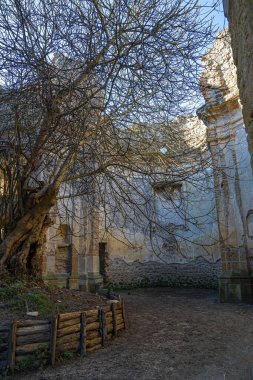 Monterano Doğal Koruma Alanı 'ndaki San Bonaventure Manastırı' ndaki kilise kalıntıları, İtalya 'daki Lazio.