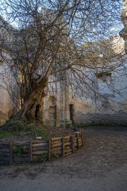 Monterano Doğal Koruma Alanı 'ndaki San Bonaventure Manastırı' ndaki kilise kalıntıları, İtalya 'daki Lazio.