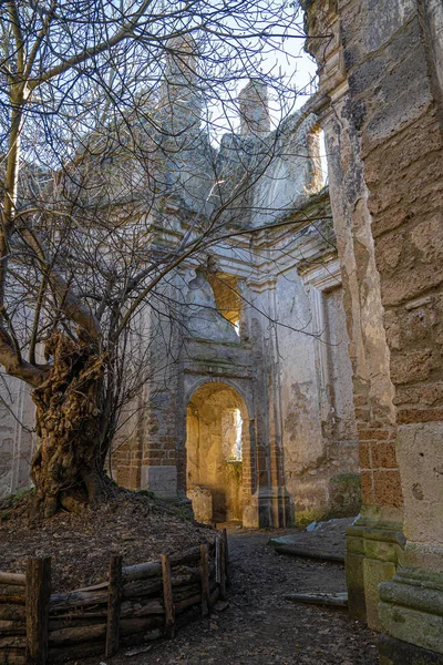 Ruïnes Van Kerk Het Klooster Van San Bonaventure Monterano Natuurreservaat — Stockfoto