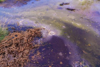 Manziana 'daki eski kraterin görüntüsü - karbondioksit sudan çıkıyor ve kabarcıklar oluşturuyor, Lazio, İtalya