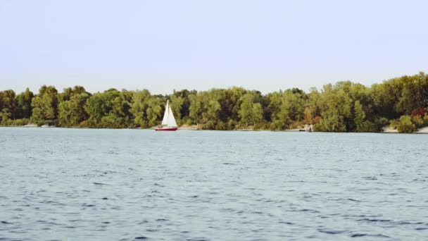 Yacht sta navigando sul fiume — Video Stock