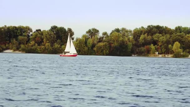 Yacht with open sail is traveling through the river — Stock Video