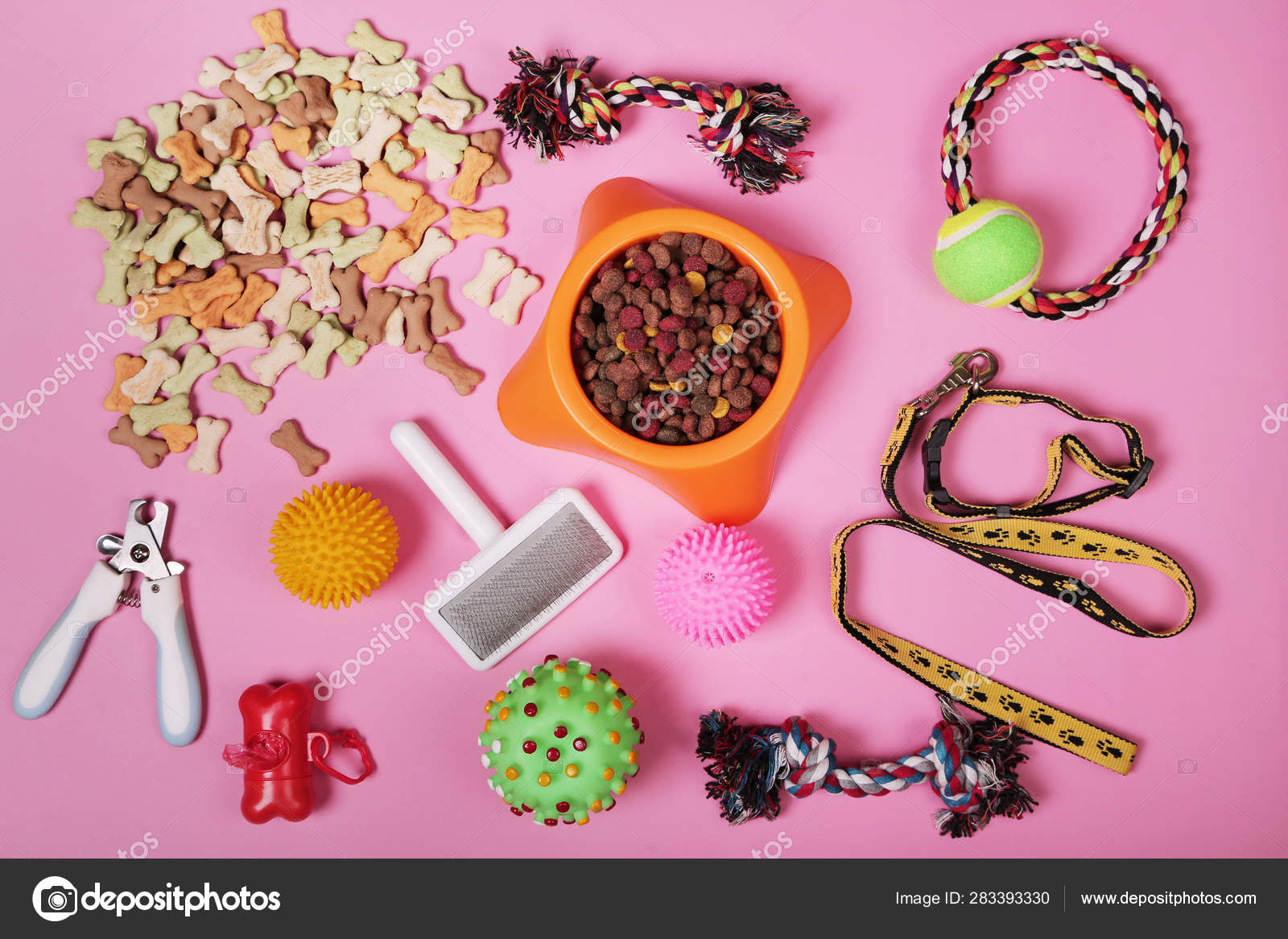 dog and cat toys