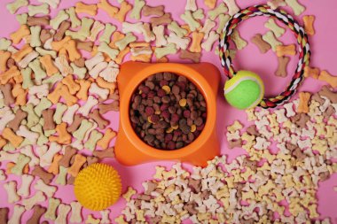 Köpek ve kedi, oyuncaklar, kuru gıda, bisküvi, kurabiye, evcil hayvan gıda aksesuarları ile Düz yatıyordu kompozisyon.