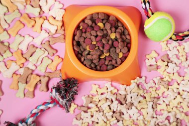 Köpek ve kedi, oyuncaklar, kuru gıda, bisküvi, kurabiye, evcil hayvan gıda aksesuarları ile Düz yatıyordu kompozisyon.