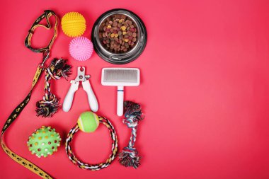 Köpek ve kedi, oyuncaklar, kuru gıda, bisküvi, kurabiye, evcil hayvan gıda aksesuarları ile Düz yatıyordu kompozisyon.